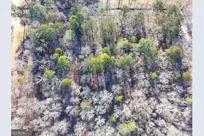 Lot 18 Byrd Hill Drive, Dudley, GA 31022 - Photo 5