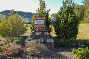 2927 Rambler Dr, Loganville, GA 30052 - Photo 61