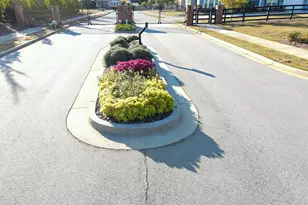 2927 Rambler Dr, Loganville, GA 30052 - Photo 59