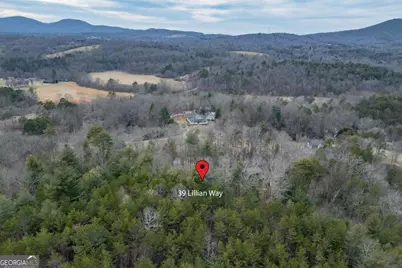 39 Lillian Way, Blairsville, GA 30512 - Photo 33