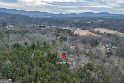 39 Lillian Way, Blairsville, GA 30512 - Photo 31