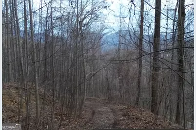 0 Winding View #17A, Clayton, GA 30525 - Photo 5