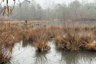 1170 Sleepy Hollow Rd, Powder Springs, GA 30127 - Photo 5