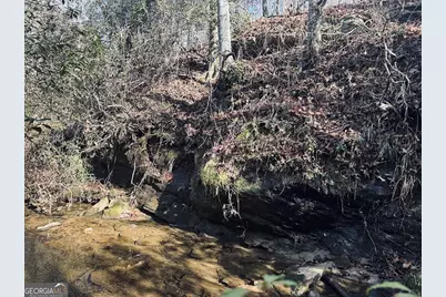 0 Old Highway 431 #TRACT 1, Wedowee, AL 36278 - Photo 15