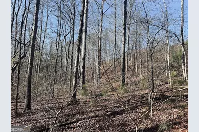 0 Old Highway 431 #TRACT 1, Wedowee, AL 36278 - Photo 17