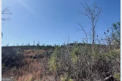 0 Old Highway 431 #TRACT 1, Wedowee, AL 36278 - Photo 25