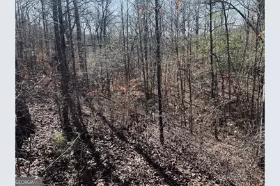 0 Old Highway 431 #TRACT 1, Wedowee, AL 36278 - Photo 9