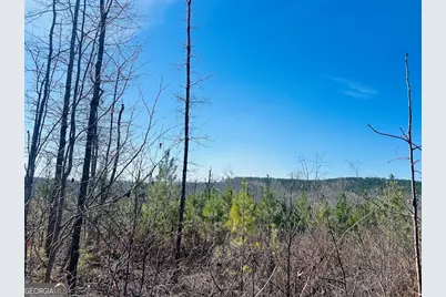 0 Old Highway 431 #TRACT 1, Wedowee, AL 36278 - Photo 3