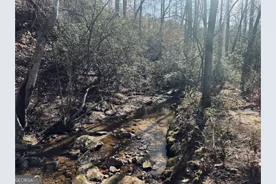 0 Old Highway 431 #TRACT 1, Wedowee, AL 36278 - Photo 11