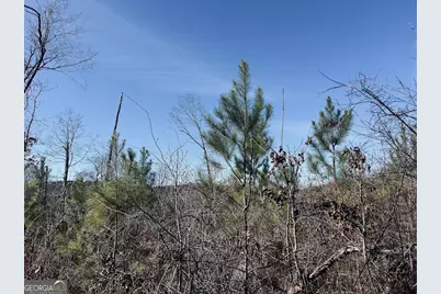 0 Old Highway 431 #TRACT 1, Wedowee, AL 36278 - Photo 5