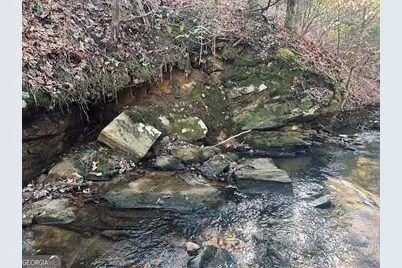 0 Old Highway 431 #TRACT 1, Wedowee, AL 36278 - Photo 13