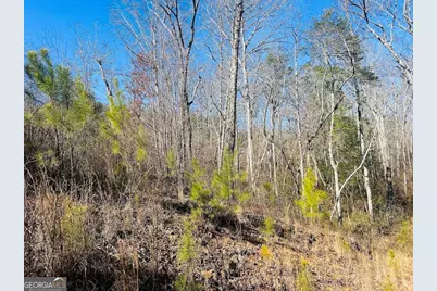0 Old Highway 431 #TRACT 1, Wedowee, AL 36278 - Photo 27