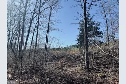 0 Old Highway 431 #TRACT 1, Wedowee, AL 36278 - Photo 23