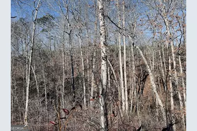 0 Old Highway 431 #TRACT 1, Wedowee, AL 36278 - Photo 19