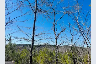 0 Old Highway 431 #TRACT 1, Wedowee, AL 36278 - Photo 29