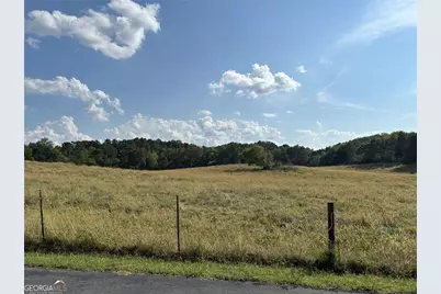 0 Reeves Station Road, Calhoun, GA 30701 - Photo 3