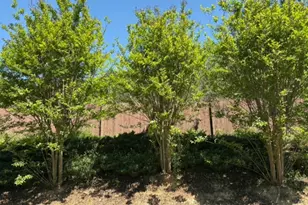 5332 Barberry Ave, Oakwood, GA 30566 - Photo 9