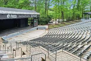 901 Mickleton Ln, Peachtree City, GA 30269 - Photo 109