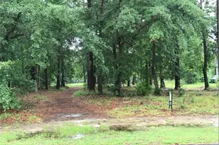 0 Winterberry Ct, Townsend, GA 31331 - Photo 1