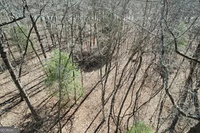 0 Curtis Switch Road, Mineral Bluff, GA 30559 - Photo 13