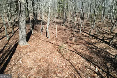 0 Curtis Switch Road, Mineral Bluff, GA 30559 - Photo 7