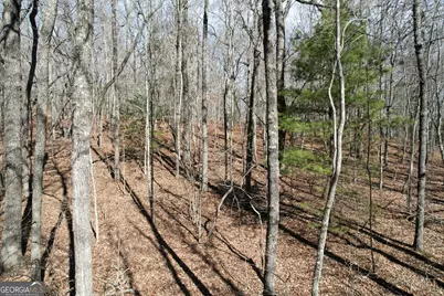 0 Curtis Switch Road, Mineral Bluff, GA 30559 - Photo 9