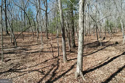0 Curtis Switch Road, Mineral Bluff, GA 30559 - Photo 11