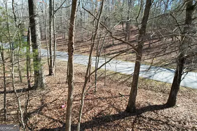 0 Curtis Switch Road, Mineral Bluff, GA 30559 - Photo 5