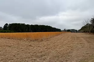 1900 Ga Hwy 27, Vienna, GA 31092 - Photo 45