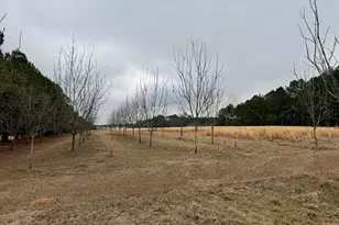 1900 Ga Hwy 27, Vienna, GA 31092 - Photo 47