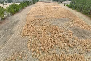 1900 Ga Hwy 27, Vienna, GA 31092 - Photo 15