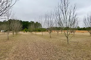 1900 Ga Hwy 27, Vienna, GA 31092 - Photo 29