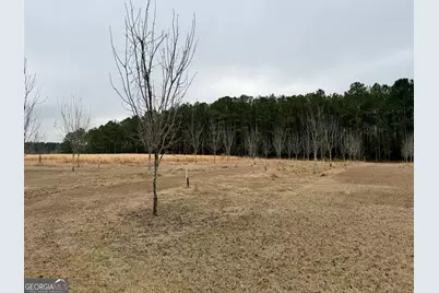 1900 Ga Highway 27, Vienna, GA 31092 - Photo 5