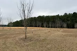 1900 Ga Hwy 27, Vienna, GA 31092 - Photo 5