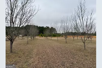 1900 Ga Highway 27, Vienna, GA 31092 - Photo 27