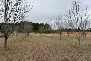 1900 Ga Hwy 27, Vienna, GA 31092 - Photo 27