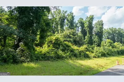 0 Roosevelt Highway, Warm Springs, GA 31830 - Photo 19