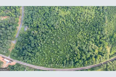 0 Roosevelt Highway, Warm Springs, GA 31830 - Photo 11