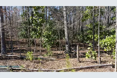 0 Roosevelt Highway, Warm Springs, GA 31830 - Photo 5