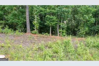 0 Roosevelt Highway, Warm Springs, GA 31830 - Photo 21