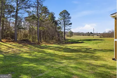 238 Carl Loudermilk Road, Mount Airy, GA 30563 - Photo 25