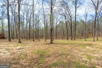 733 Cherry Road, Franklin, GA 30217 - Photo 51