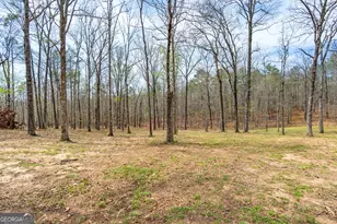 733 Cherry Rd, Franklin, GA 30217 - Photo 51