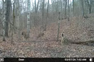 733 Cherry Rd, Franklin, GA 30217 - Photo 65