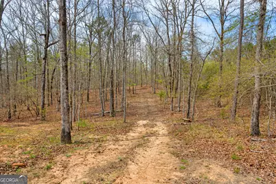 733 Cherry Road, Franklin, GA 30217 - Photo 55