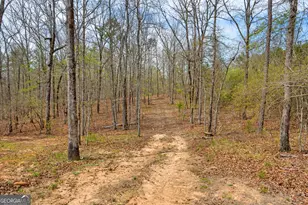 733 Cherry Rd, Franklin, GA 30217 - Photo 55