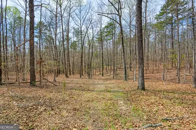 733 Cherry Road, Franklin, GA 30217 - Photo 53