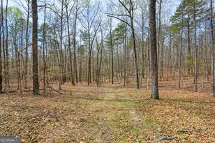 733 Cherry Rd, Franklin, GA 30217 - Photo 53