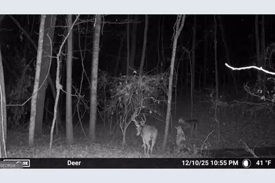 733 Cherry Road, Franklin, GA 30217 - Photo 67