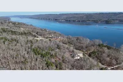 0 Lookout Mountain Drive #TRACT 232, Scottsboro, AL 35769 - Photo 15